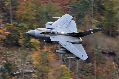 272982653_4868205939932254_8138644379379358053_n