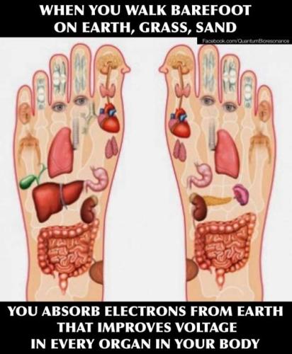 ,                                                                                                                                                                                                                          0 y