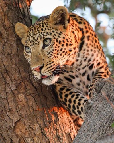 273863336_1764271530438856_4085492819506844479_n