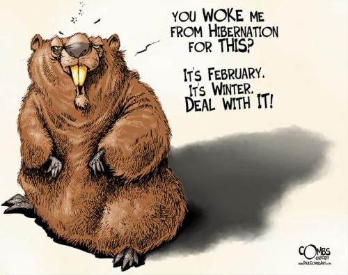 273147815_943762872942684_6290633825904490135_n