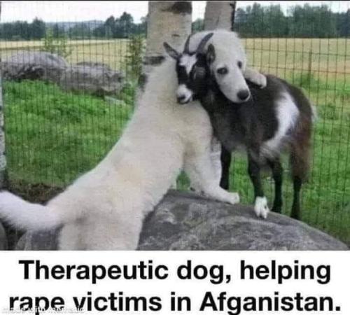 FB_IMG_1644270314884