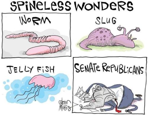 SpinelessSpecies