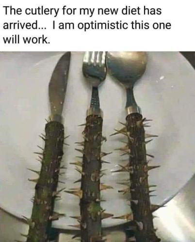 FB_IMG_1644476049630