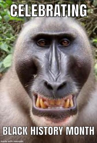 273124396_446084840557170_8688666346403033378_n