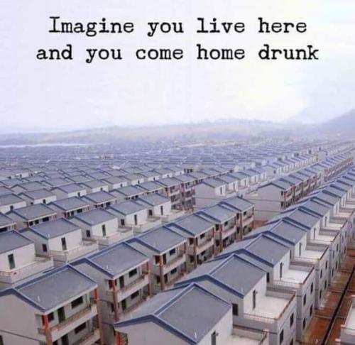 FB_IMG_1645040351671