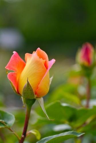 13:44:56 GMT-0600 (CST)