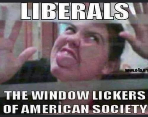 FB_IMG_1645200703995