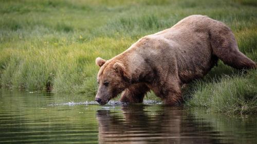 273890687_1764271470438862_7030193936666374658_n