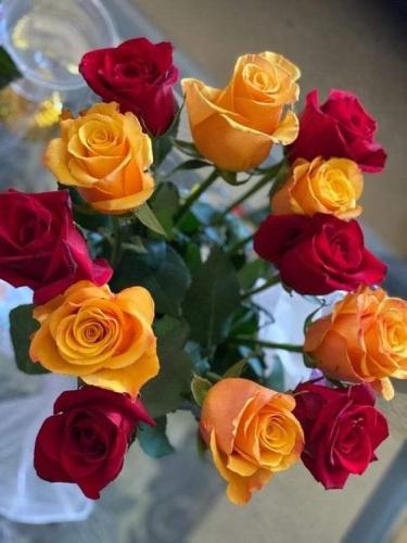 10:12:08 GMT-0600 (CST)