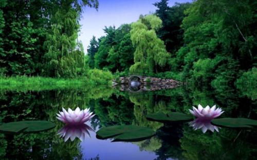 Screenshot_20220214-062821_DuckDuckGo