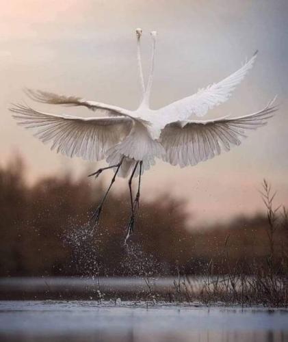 tumblr_4b0c880b764b4cf7f26e8ef6e2de4016_406f399b_540