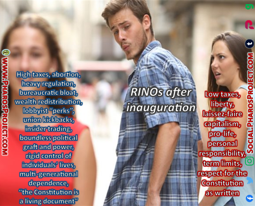 Distracted Boyfriend - RINOs - Web-Social