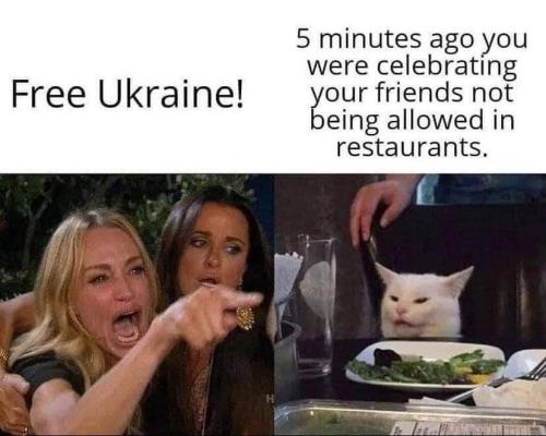 FB_IMG_1647461494238