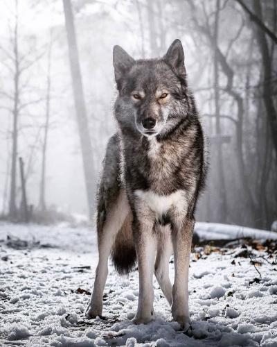 18:58:49 GMT-0600 (CST)