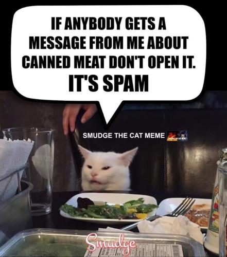 FB_IMG_1646635935981