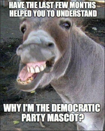 democrats502