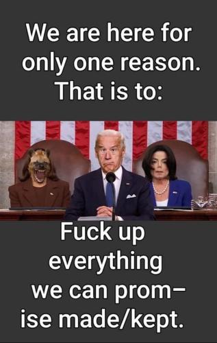 Biden Admin 1