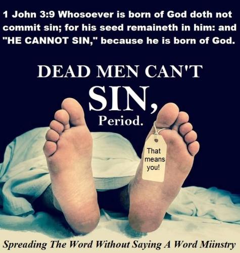 64327369_2376400919108692_769949690413187072_n