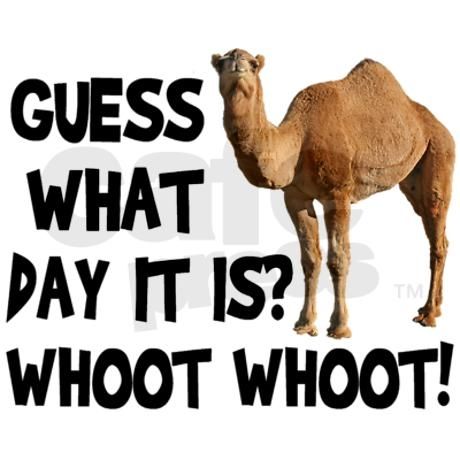 1-Hump Day