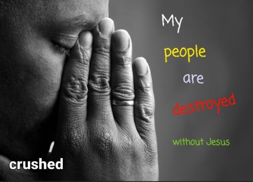 Screenshot_20220321-080548_DuckDuckGo