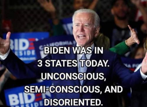 shitshow joe17