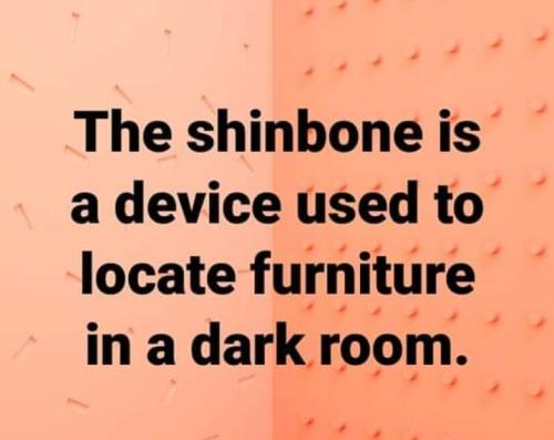 Screenshot_2022-03-22-13-24-48-03_a23b203fd3aafc6dcb84e438dda678b6