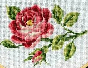 received_557790705667413_kindlephoto-5402147