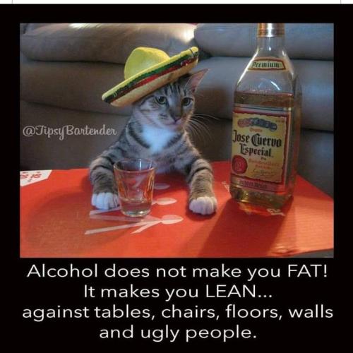 Screenshot_2022-03-06-18-42-22-37_a23b203fd3aafc6dcb84e438dda678b6