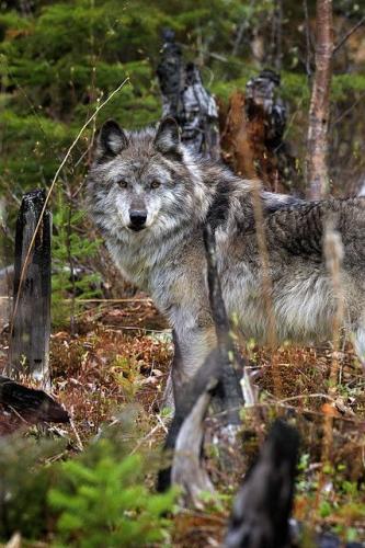 72a1b9000f260913c961b25c32bfde2f