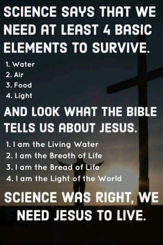 FB_IMG_1647200293566