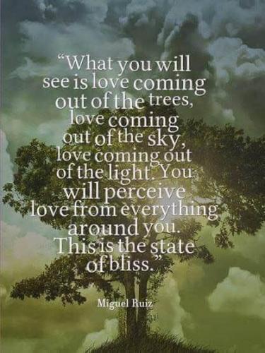 ,                                                                                                                                                                                                                          0 5