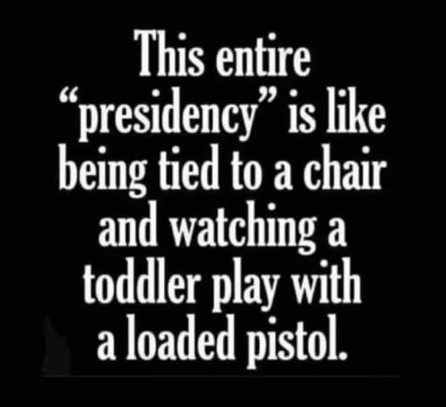 FB_IMG_1647294006739