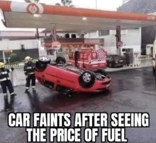 FB_IMG_1646857694065