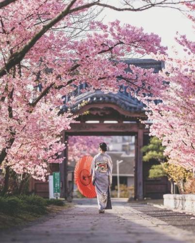 277357594_510590863970848_5619401041178960577_n