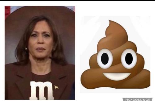 7fc41745-d8dd-428d-89eb-6d0d13d52ccd