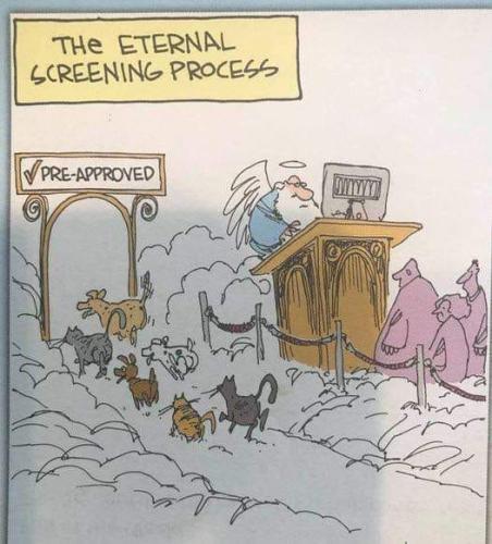 275372076_5057420457649899_1777382988534569212_n