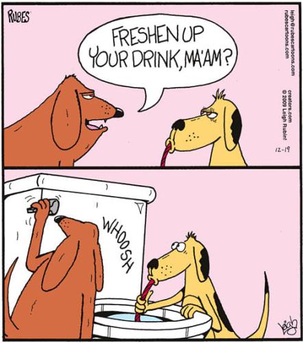 275321951_963343504317954_5472516898174178493_n