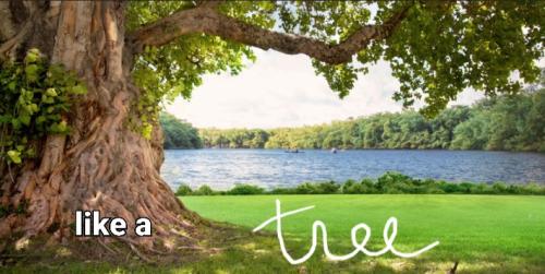 Screenshot_20220323-072144_DuckDuckGo