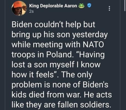 Biden Sons 1