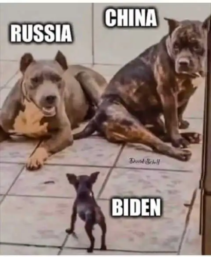 biden dog me