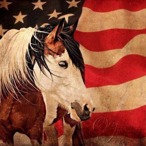 20:57:51 GMT-0600 (CST)