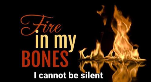 fc43d99f-59ca-4af2-b64c-474457f29d00