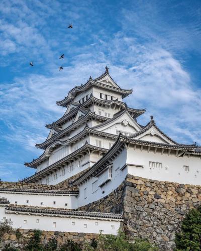 275059001_508436867290227_9153913673691798473_n