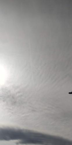 received_473699081063410