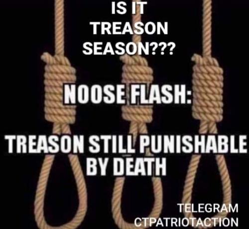 FB_IMG_1646234269456