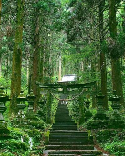 274928848_492154785960066_7121142730236099821_n