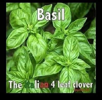 275301109_2128767270624099_8054438271890769771_n