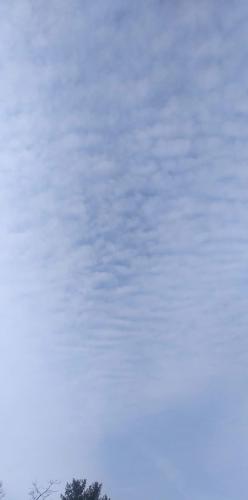 received_3133953780226278