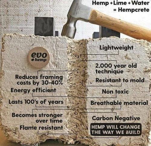 IMG_20220322_151347_594