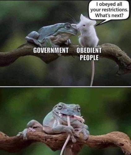 FB_IMG_1647294101570
